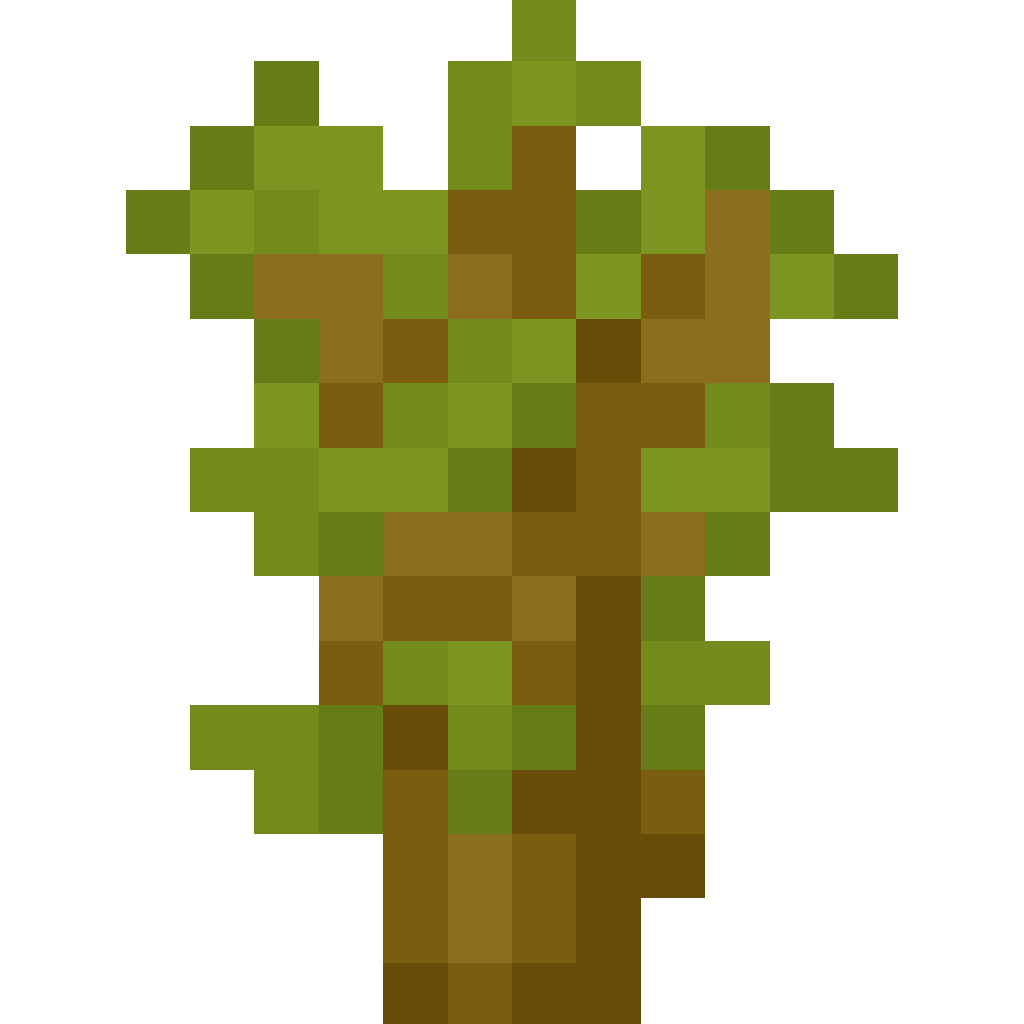 Acacia Sapling