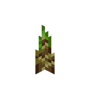 Bamboo Shoot