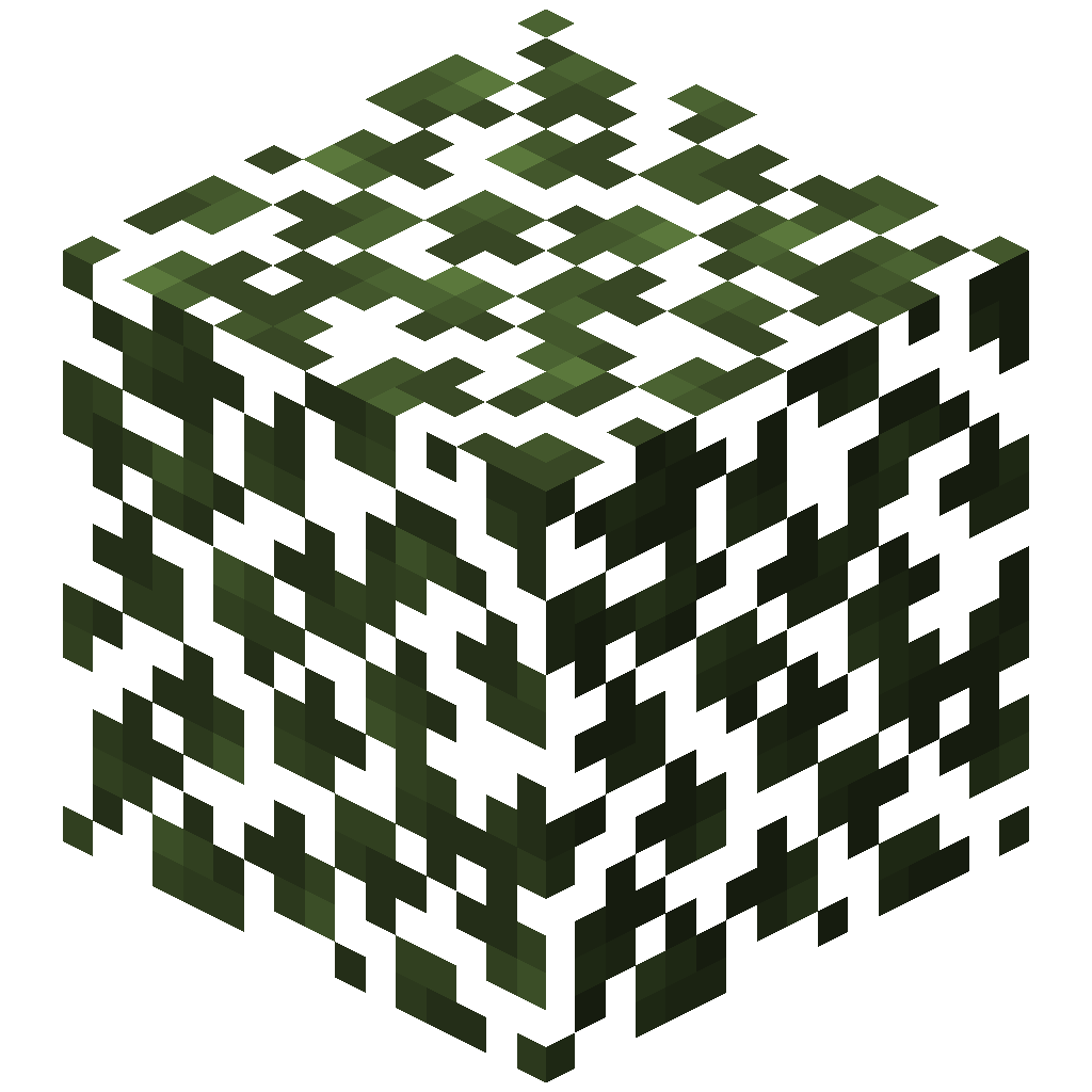Birch Leaves
