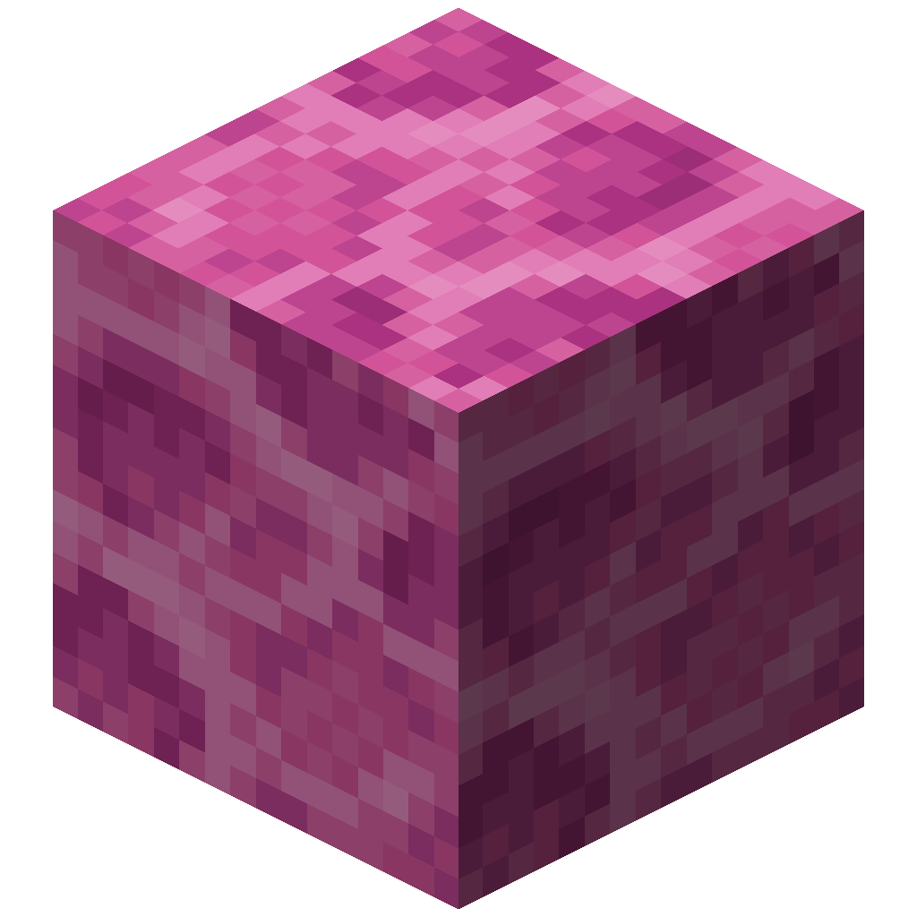 Brain Coral Block