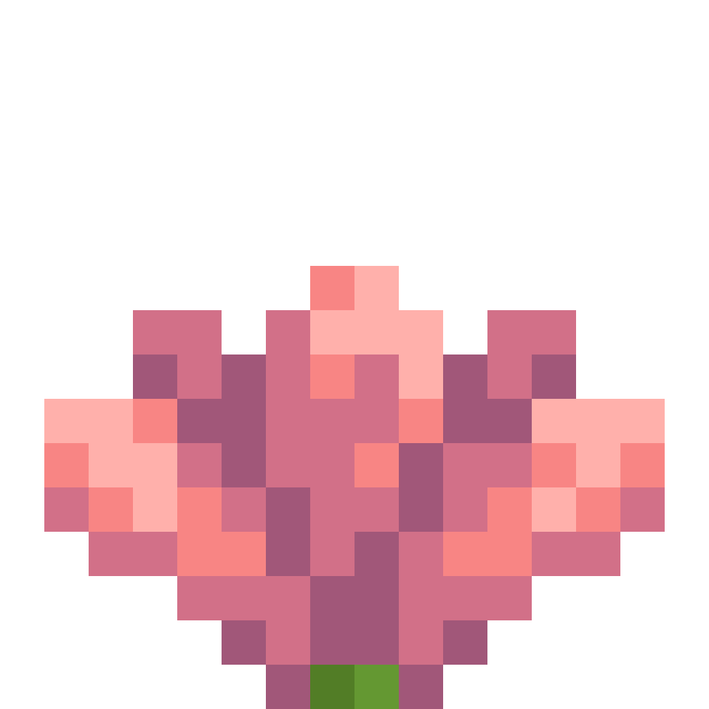Cactus Flower