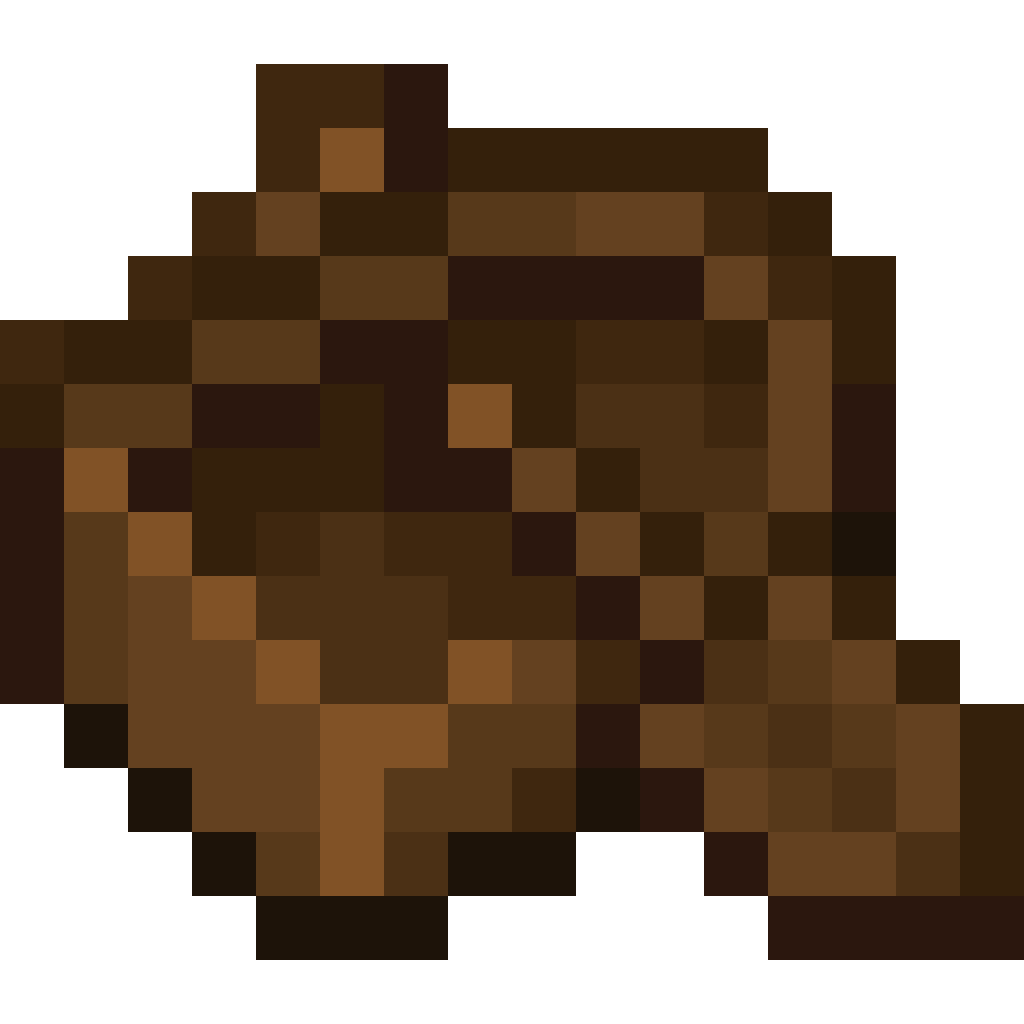 Dark Oak Boat