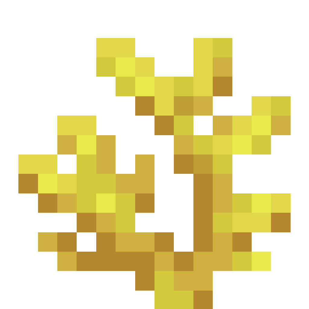 Horn Coral