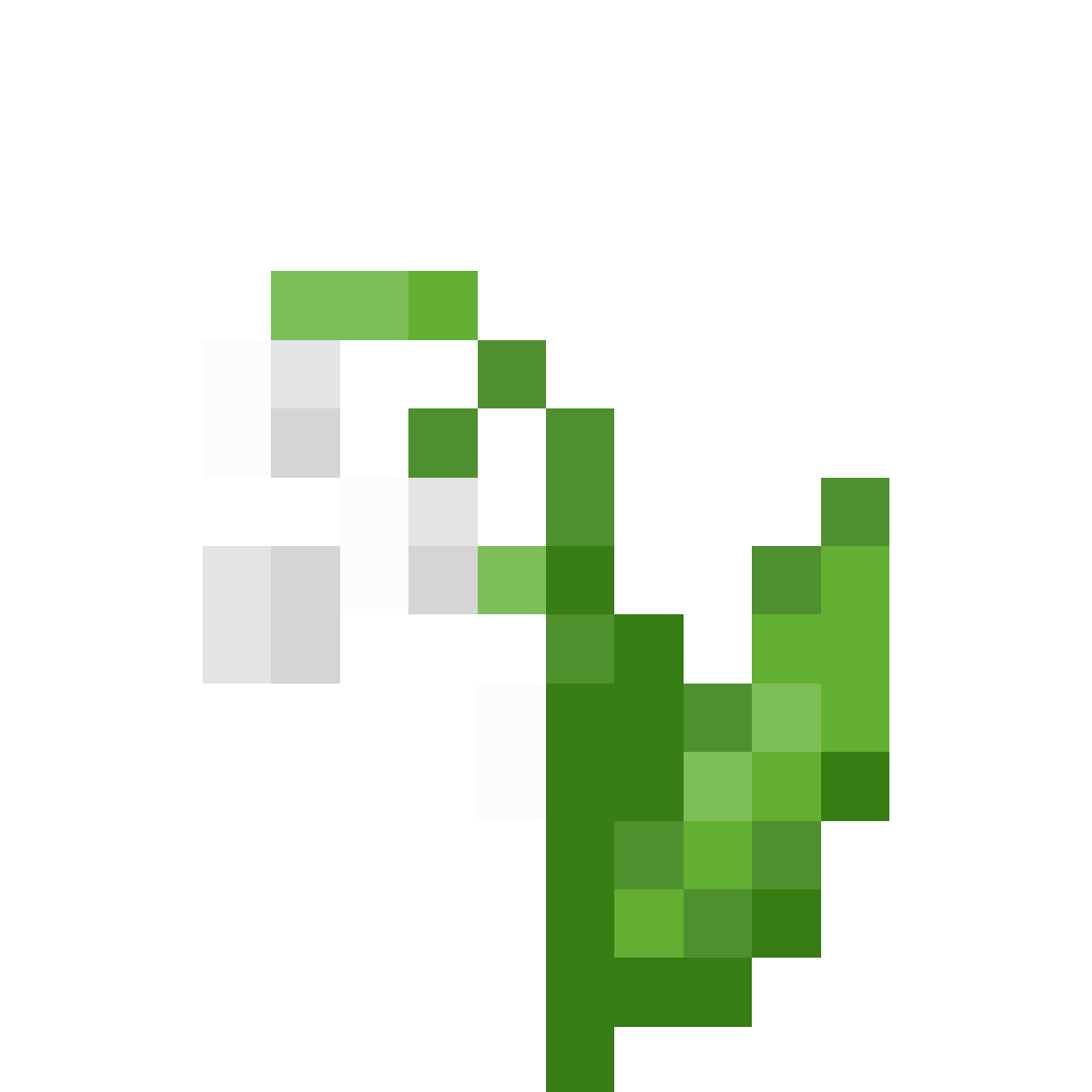 Lily of the Valley