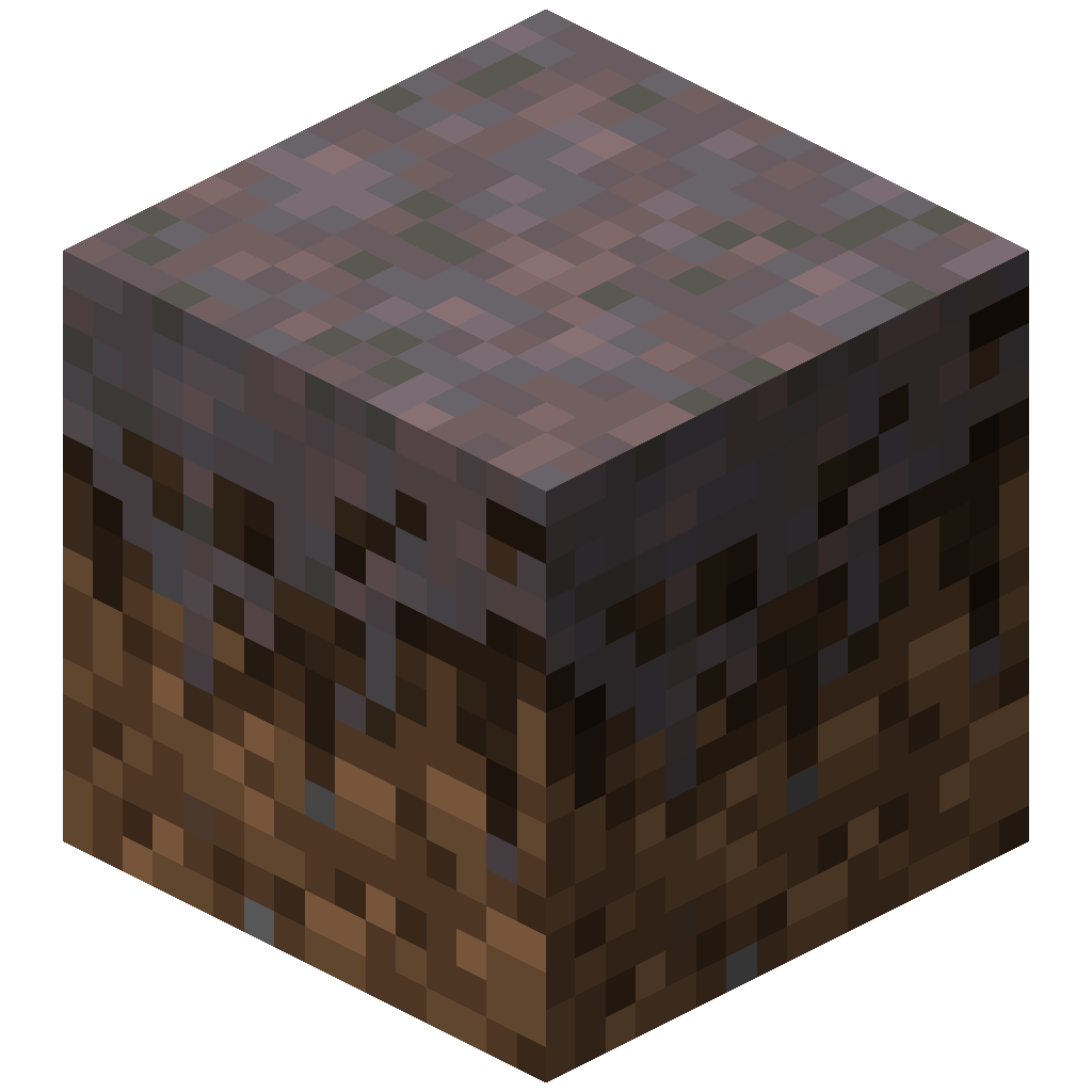 Mycelium