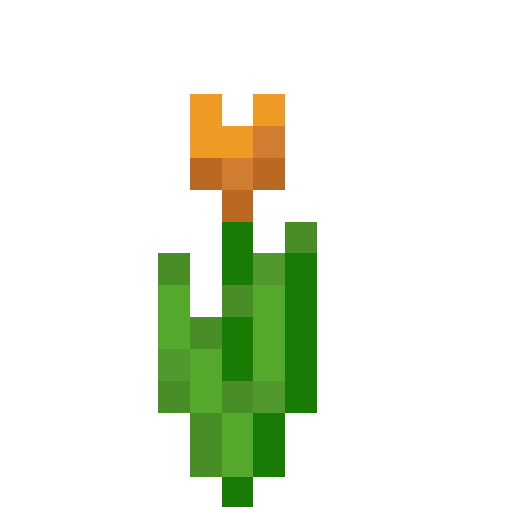 Orange Tulip