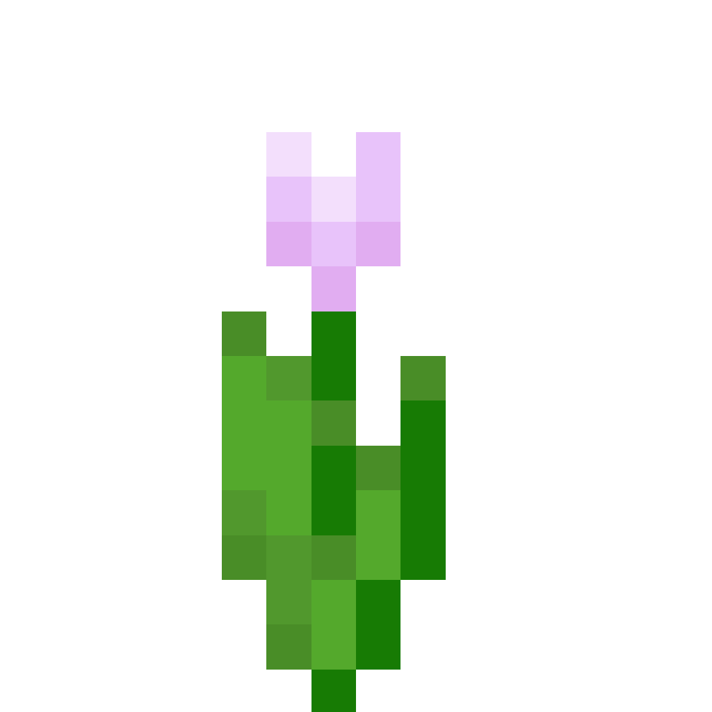 Pink Tulip