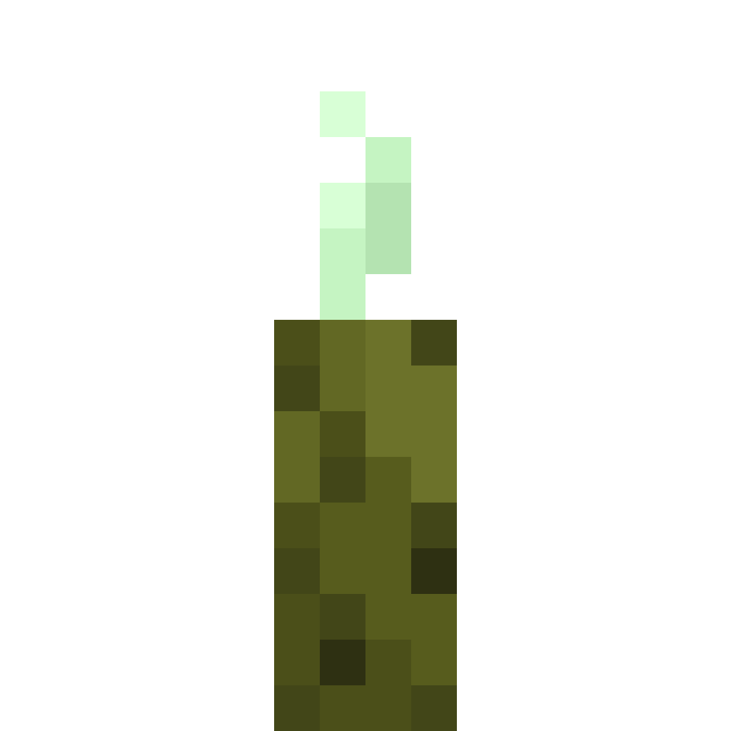 Sea Pickle