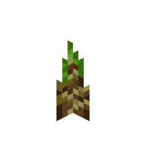 Bamboo Shoot