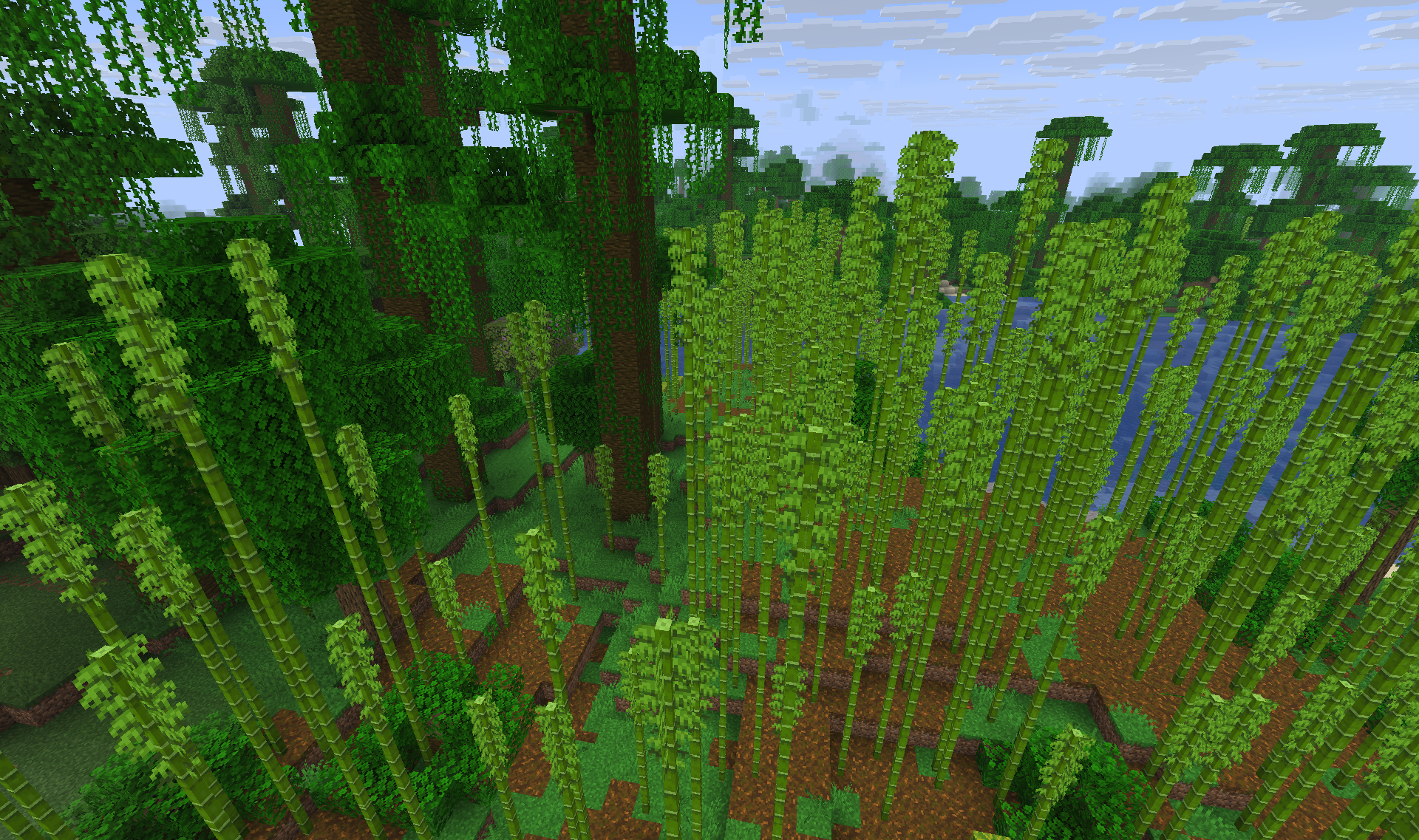 Bamboo Jungle
