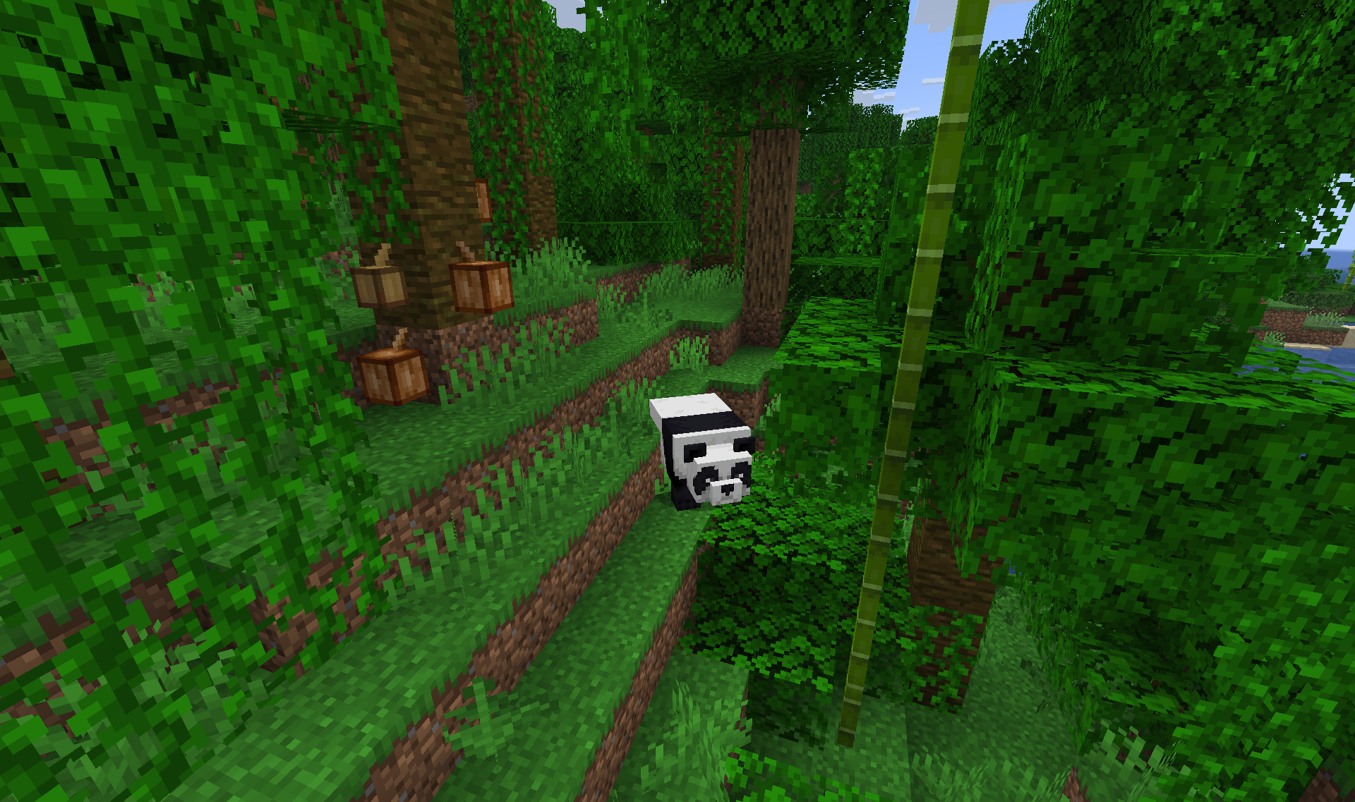 Bamboo Jungle Pandas - Cute pandas in their natural habitat