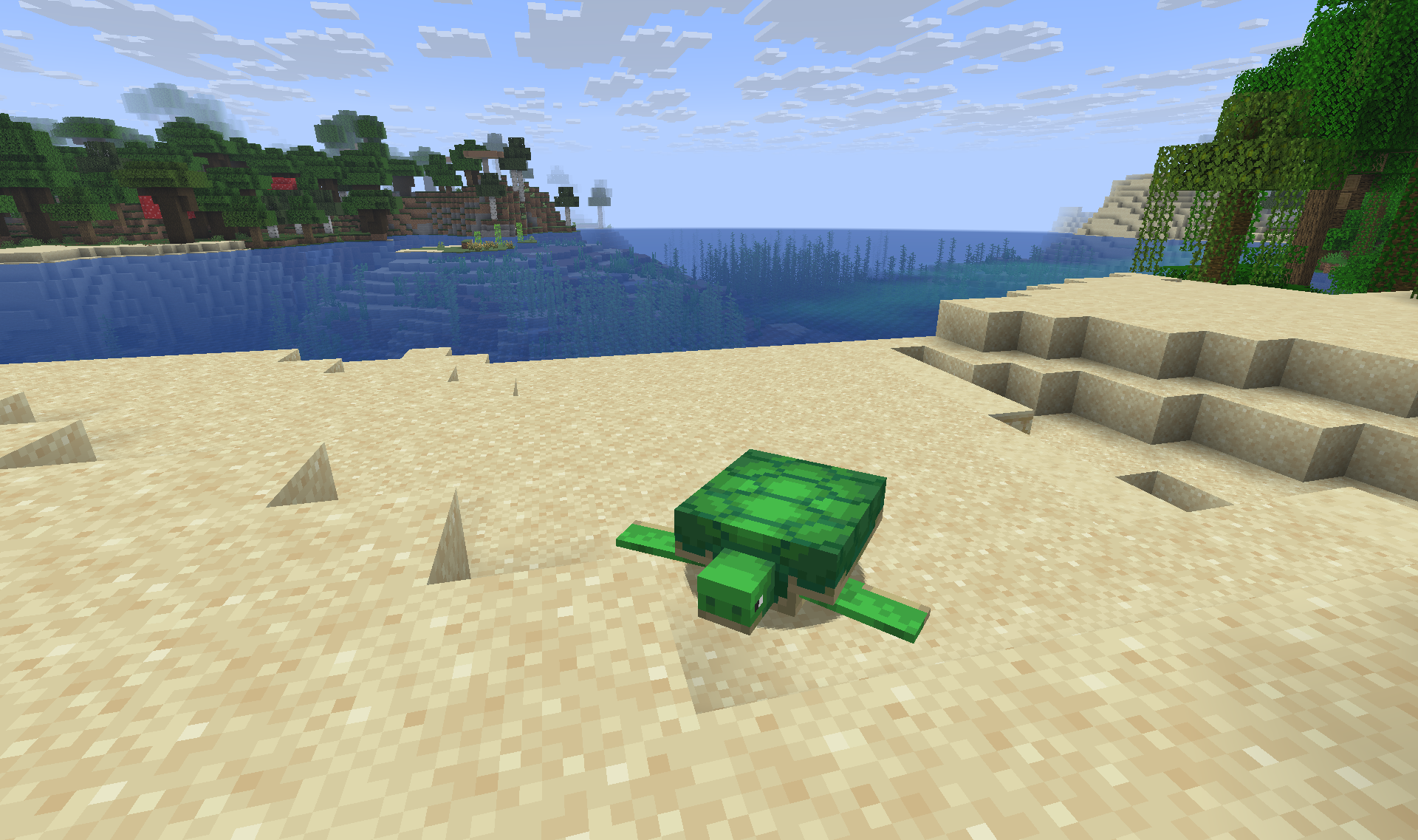 Beach Turtles - Unique passive mobs spawning on sandy shores