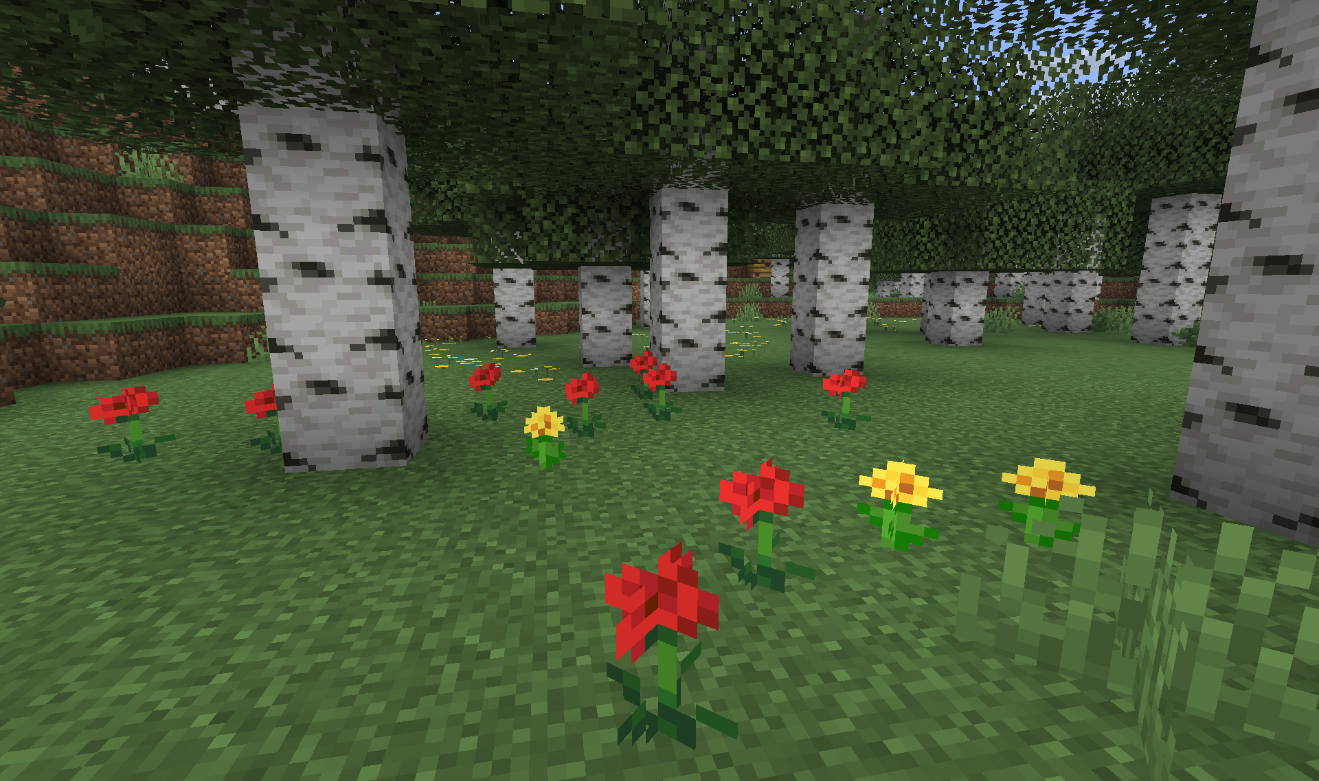 Birch Forest Flowers - Wildflowers and vegetation among trees