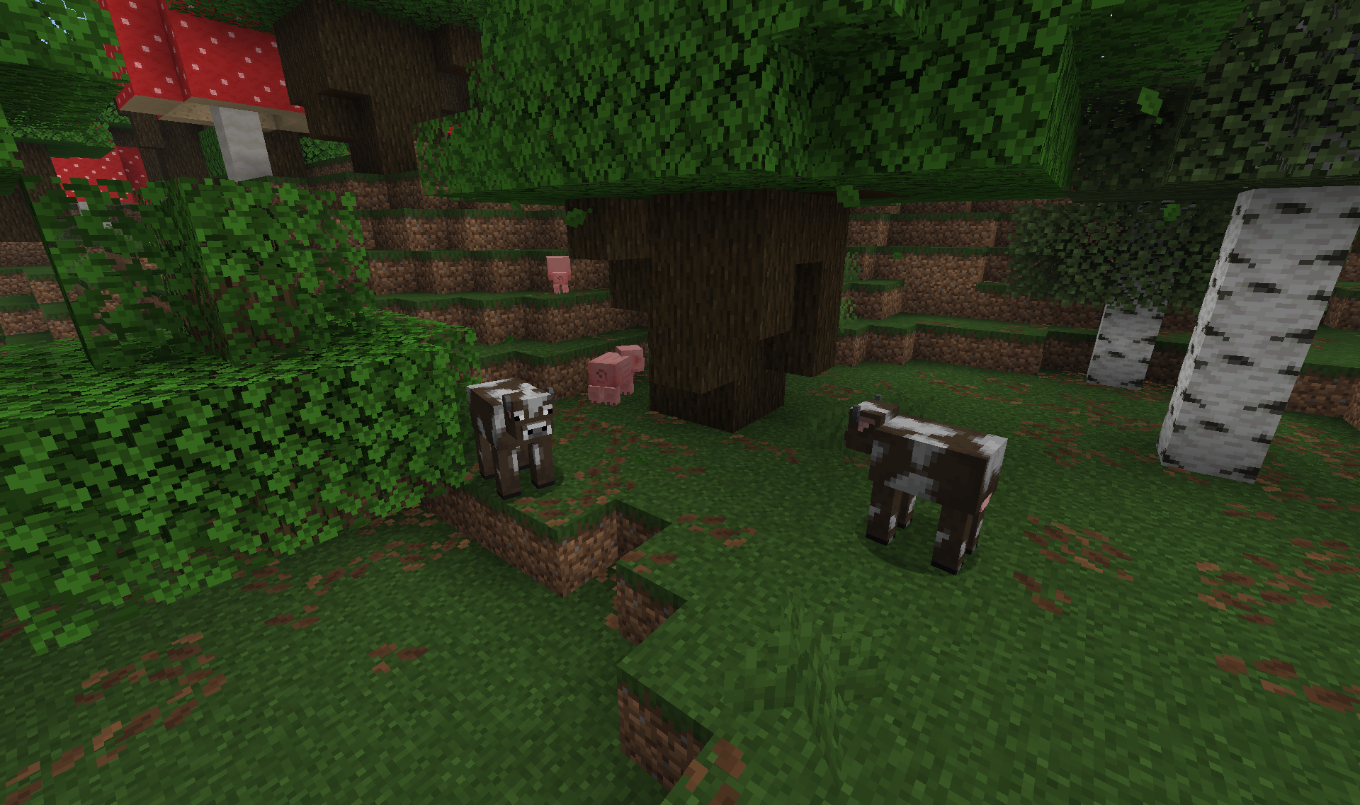 Dark Forest Wildlife