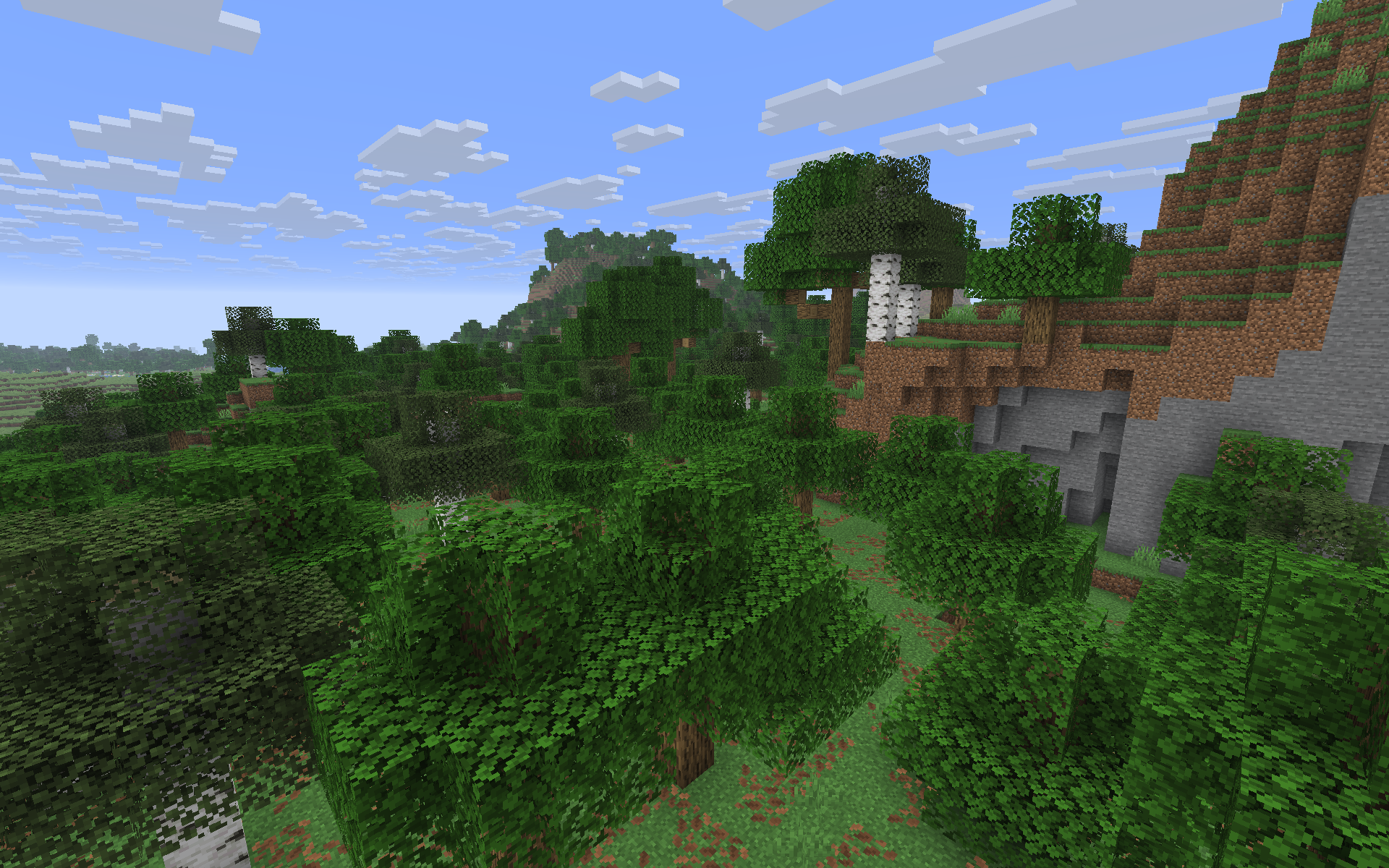 Forest