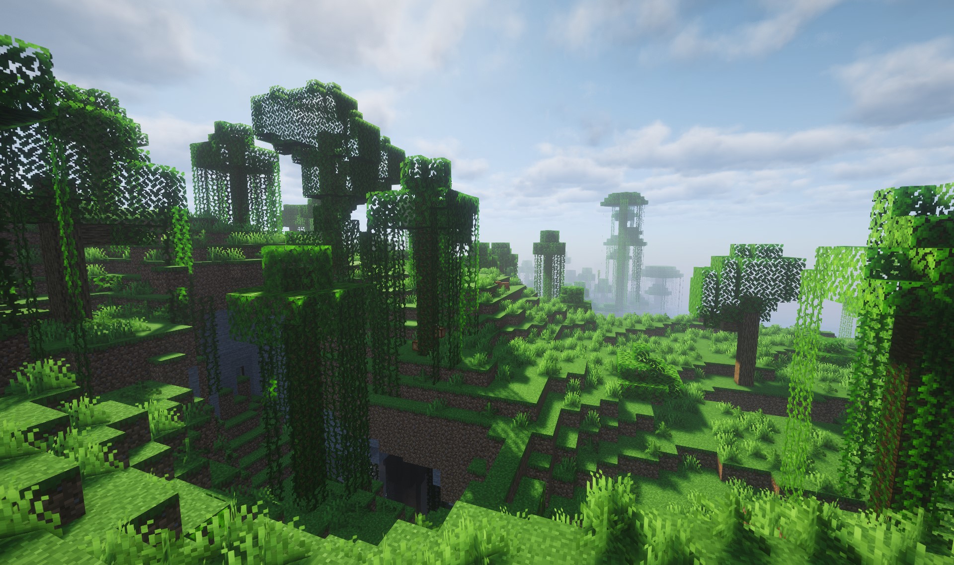 Jungle