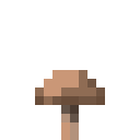 Brown Mushroom