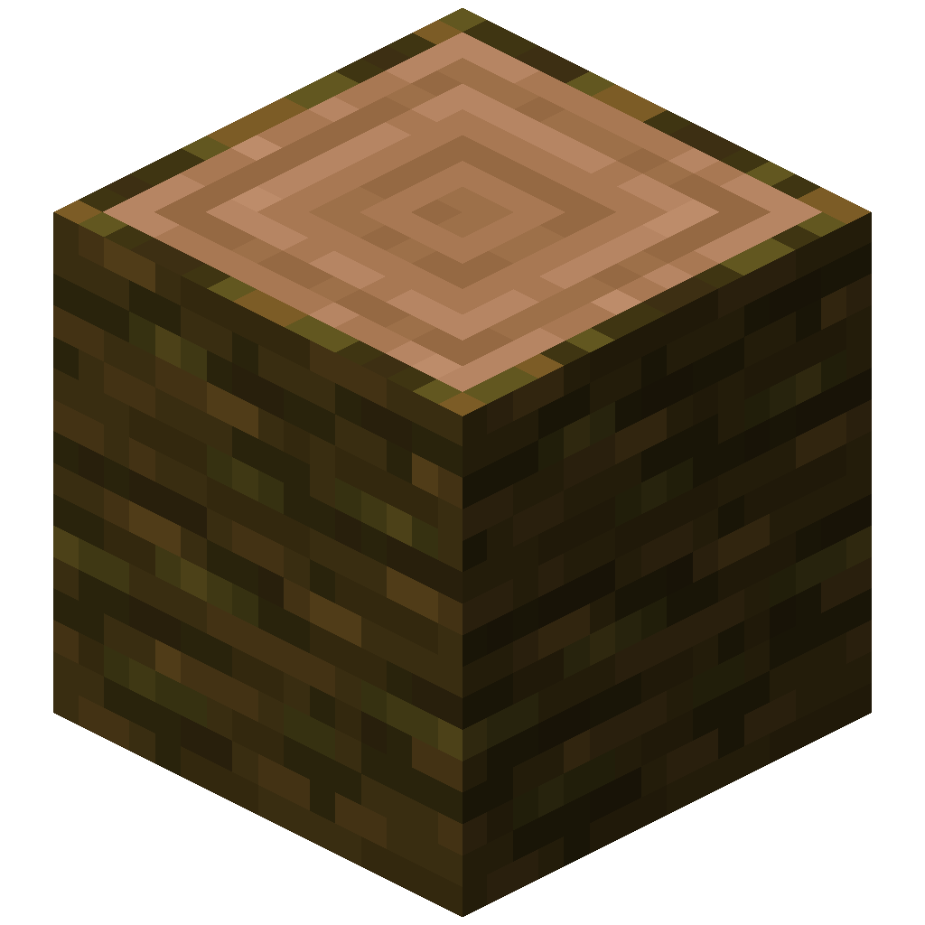 Jungle Log