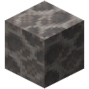 Dead Brain Coral Block