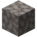 Dead Bubble Coral Block