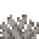 Dead Bubble Coral Fan