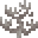 Dead Fire Coral