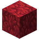 Fire Coral Block