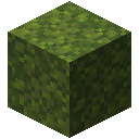 Moss Block