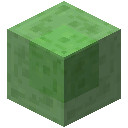 Slime Block