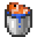 Bucket of Tropical Fish