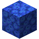 Tube Coral Block