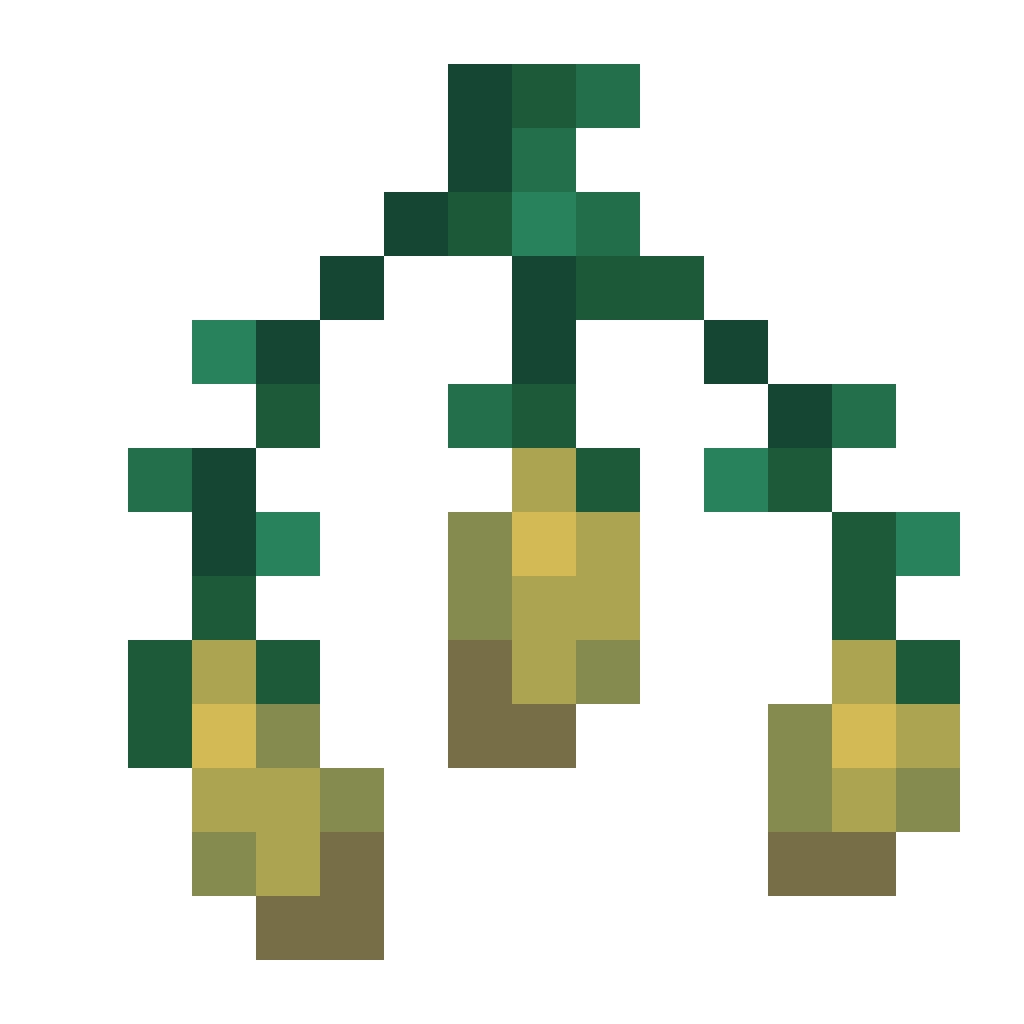 Torchflower Seeds
